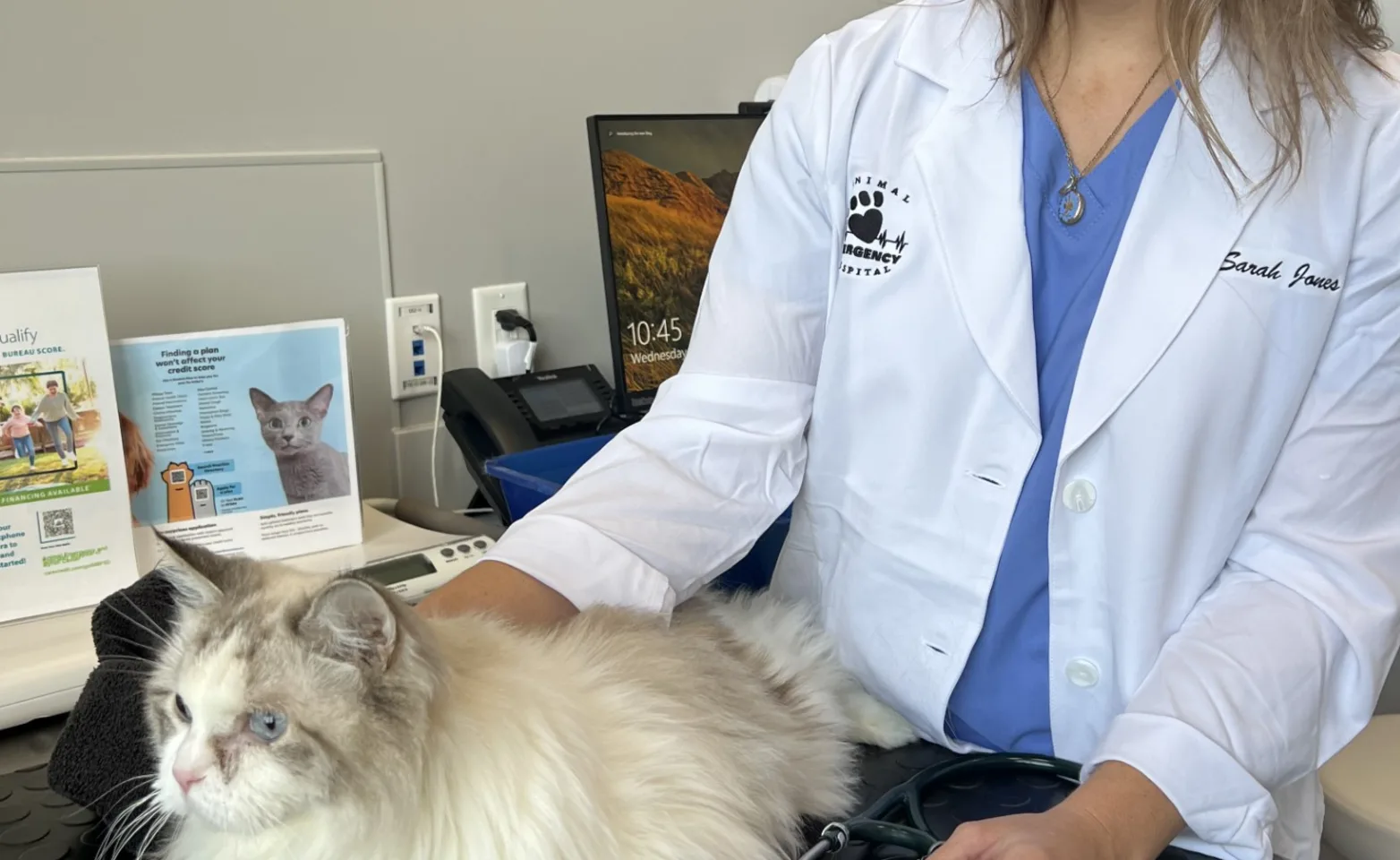 A doctor standing next to a white and grey fluffy cat laying on an exam table